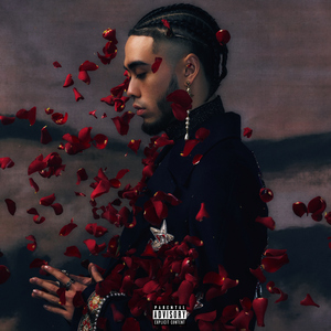 桃花盛开无码AvcoM
