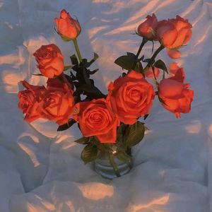 桃花盛开无码AvcoM
