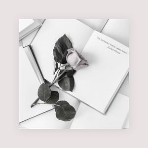 桃花盛开无码AvcoM
